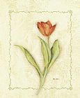 Tulip Paintings - Red Tulip by Cheri Blum